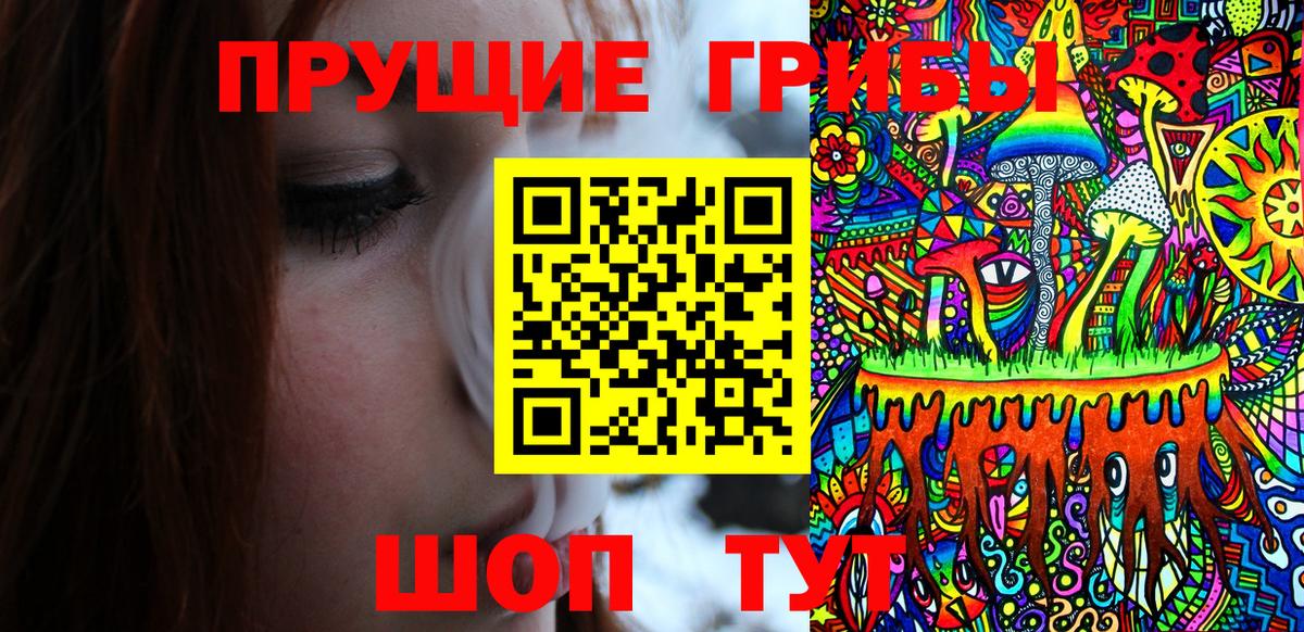 Псилоцибиновые грибы прущие грибы  Вход с VPN  Галлюциногенные грибы Psilocybine cubensis  Ковров 